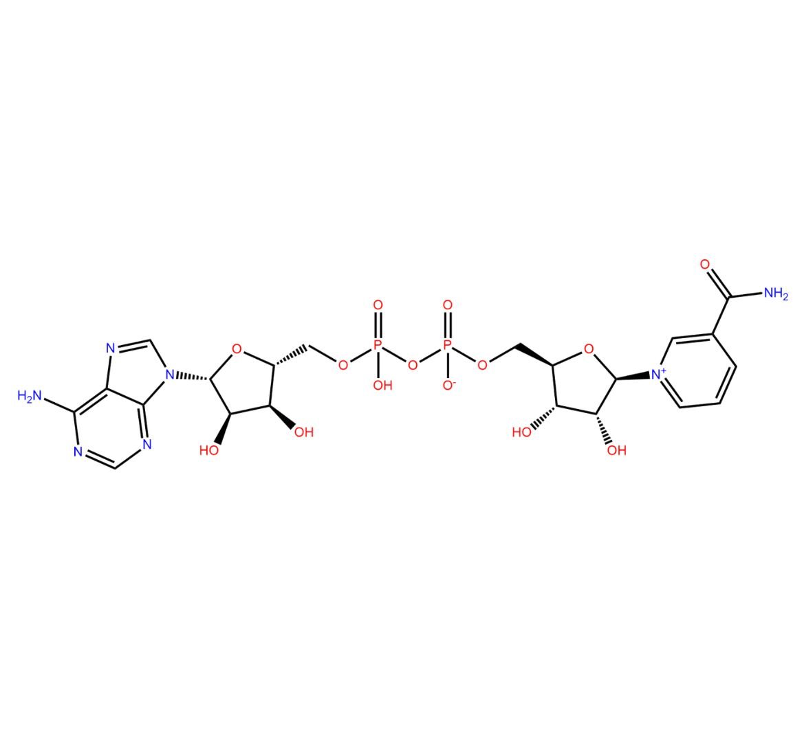 Cleanchem
