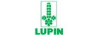 Lupin